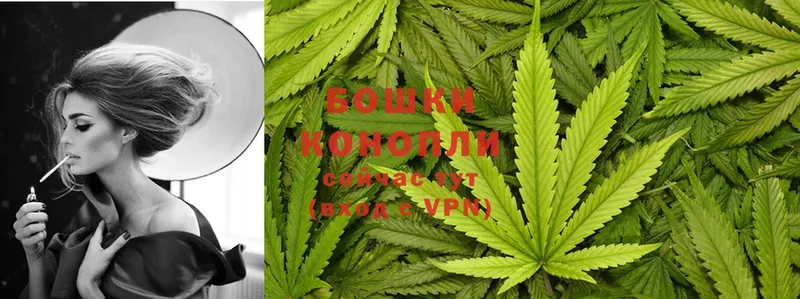 где купить наркоту  Солигалич  Канабис White Widow 